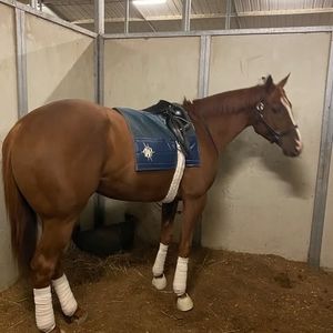 Meet your Posher, Curtis